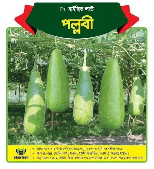 হাইব্রিড লাউ পল্লবী