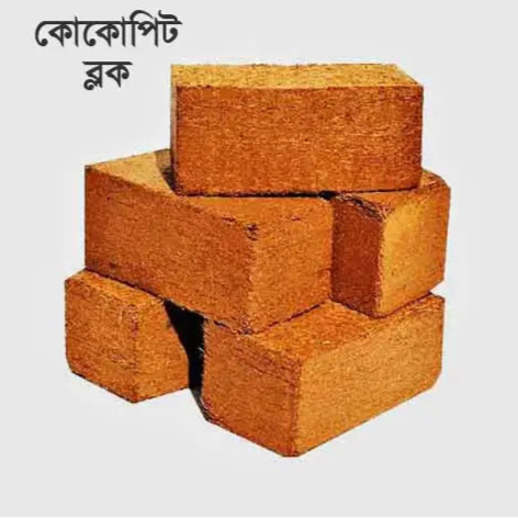 কোকোপিট