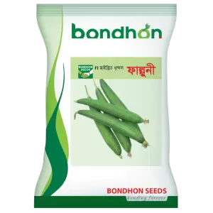 হাইব্রিড ধুন্দল- ফাল্গুনী- হালাল এগ্রো ফার্ম -SpongeGround-Falguni- Halal Agro Farm