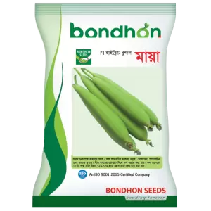 হাইব্রিড ধুন্দল- মায়া - হালাল এগ্রো ফার্ম -SpongeGround-Maya- Halal Agro Farm