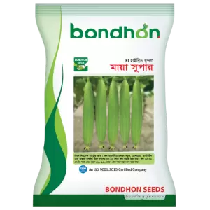 হাইব্রিড ধুন্দল- মায়া সুপার - হালাল এগ্রো ফার্ম -SpongeGround-MayaSuper- Halal Agro Farm