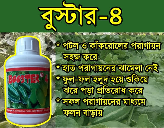 বুস্টার - ৪