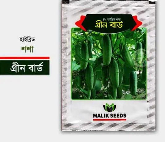 হাইব্রিড শসা- গ্রীন বার্ড