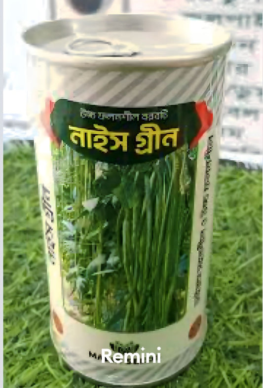 নাইস গ্রীন বরবটি