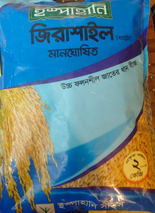 ইস্পাহানী জিরাশাইল খাটোগাছ ধান