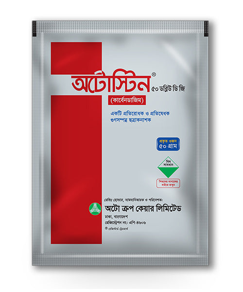 অটোস্টিন