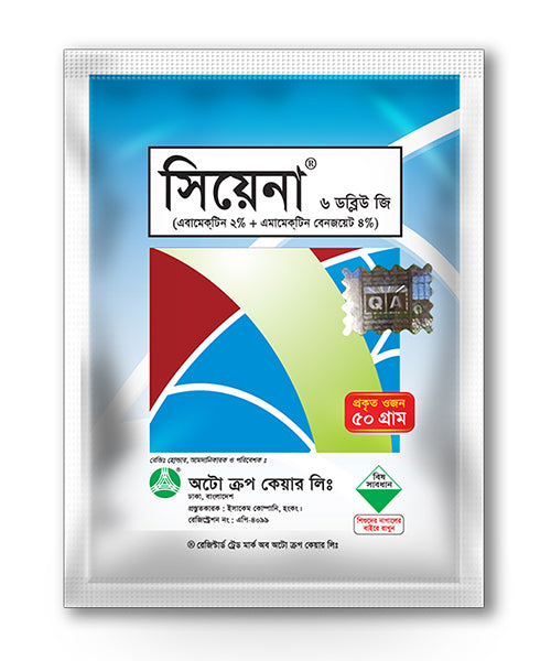 সিয়েনা