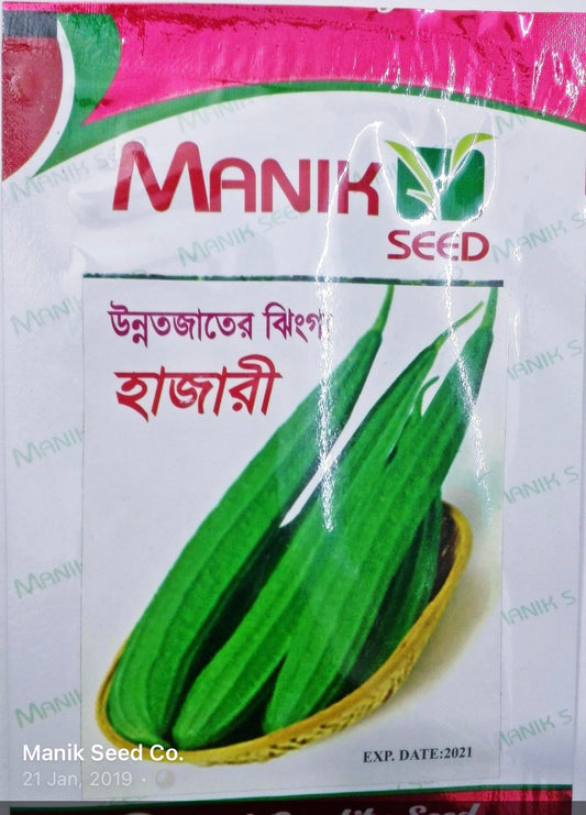 হাজারী হাইব্রিড ঝিঙ্গা - হালাল এগ্রো ফার্ম - Hazari Hybrid Ridge Gourd Seed - Halal Agro Farm