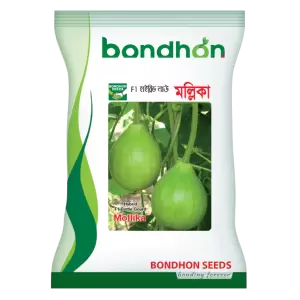 হাইব্রিড লাউ- মল্লিকা- হালাল এগ্রো ফার্ম -Bottle Gourd- Mollika- Halal Agro Farm