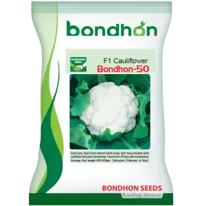 বাঁধাকপি- বন্ধন-৫০- হালাল এগ্রো ফার্ম -Cauliflower Bondhon-50- Halal Agro Farm