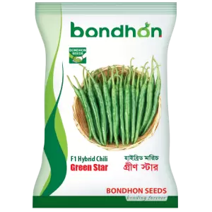 হাইব্রিড মরিচ- গ্রীণ স্টার- হালাল এগ্রো ফার্ম -Hybrid-chilli-green-star- Halal Agro Farm