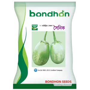 হাইব্রিড বেগুন- সৈনিক- হালাল এগ্রো ফার্ম -Brinjal- Shoinik- Halal Agro Farm