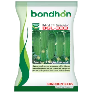 হাইব্রিড শসা-BGL 333- হালাল এগ্রো ফার্ম -Hybrid-Cucumber-BGL-333- Halal Agro Farm