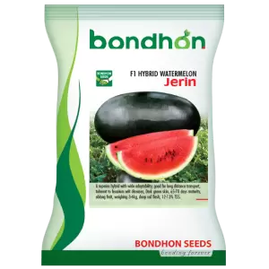 হাইব্রিড তরমুজ- জেরিন- হালাল এগ্রো ফার্ম -Hybrid-Watermelon-Jerin- Halal Agro Farm