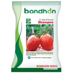 হাইব্রিড টমেটো - স্বপ্ন- হালাল এগ্রো ফার্ম -Hybrid-Tomato-Shawpno- Halal Agro Farm